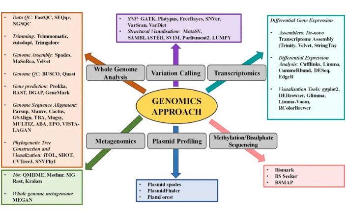Commonly used bioinformatics tools for Genomics studies. Whole Genome Analysis, Variant Calling, Transcriptomics analysis, Metagenomics