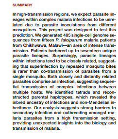 single mosquito carries and transmits multiple genetically distinct Plasmodium parasite strains