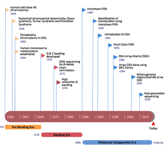 Diagrammatic representation of the history of human cytogenetics in disease diagnosis.