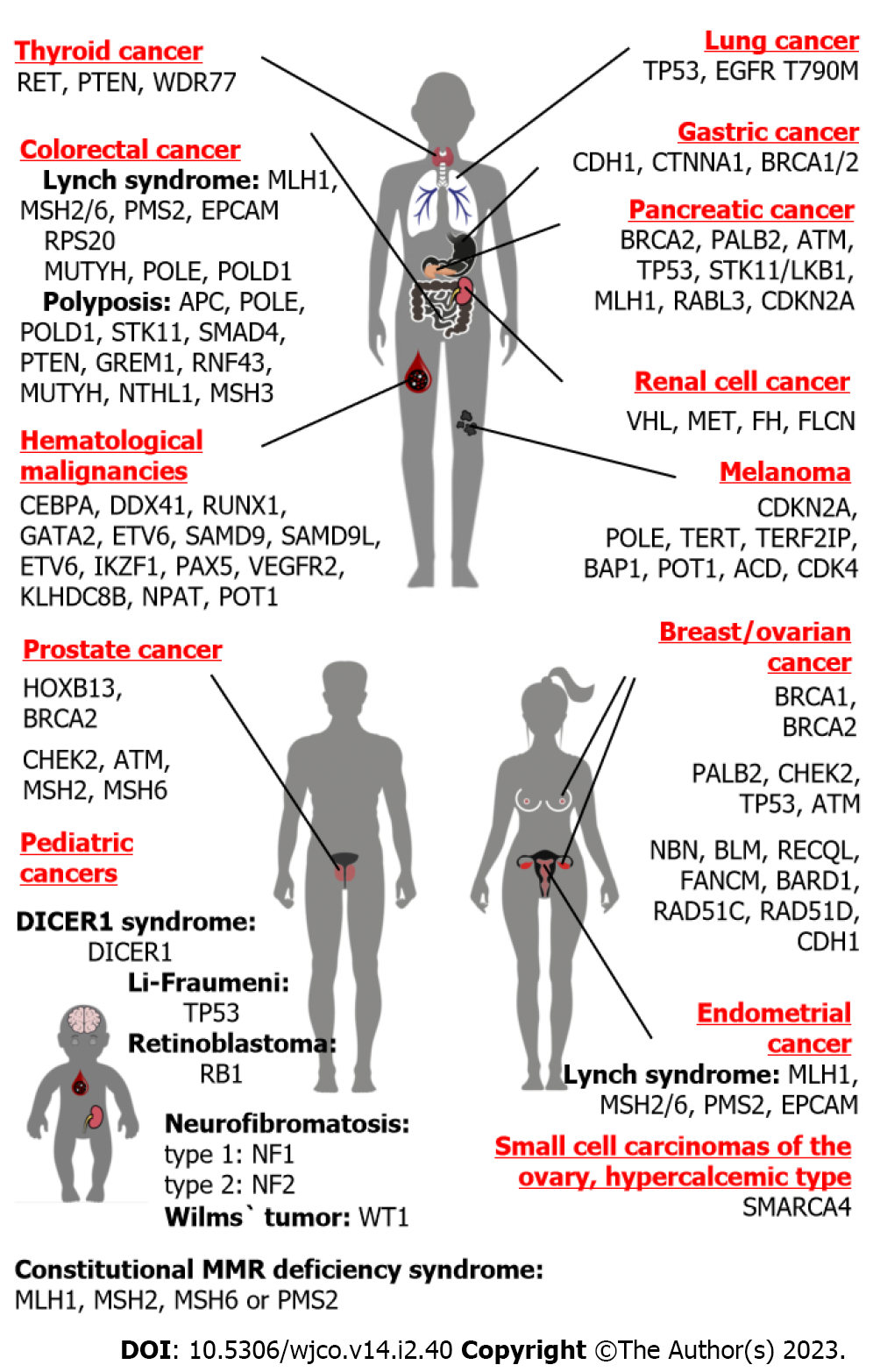 Hereditary cancer syndrome identified. High risk of cancer