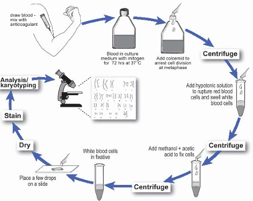 Culture initiation. Different specimen types have different sample and handling requirements 