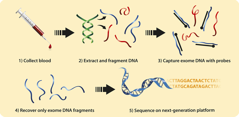  next generation technologies,Genetic Testing Process