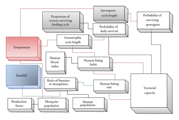 parasite extrinsic incubation ,anopheline vector ,vectorial capacity