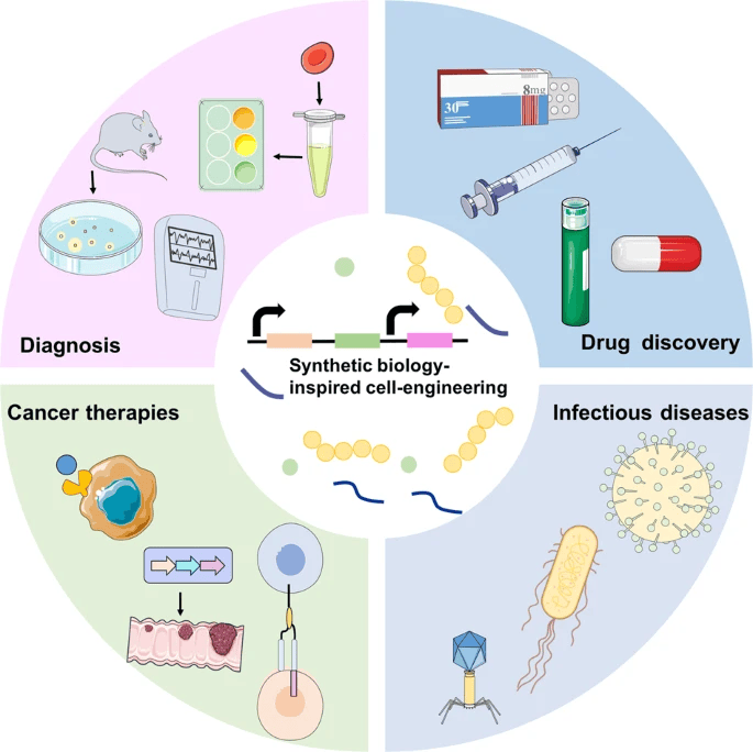 Synthetic biology-inspired cell engineering can be employed for various medical applications. Synthetic gene networks are uploaded into cells for disease diagnosis, cancer therapies, infectious diseases treatment, and drug discovery